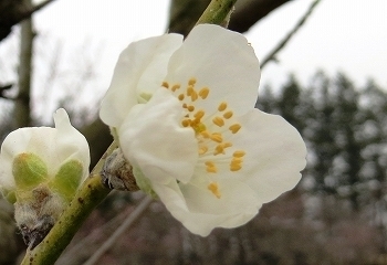 1.@.jpg