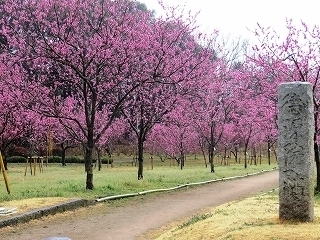 1.@Ք@E.jpg