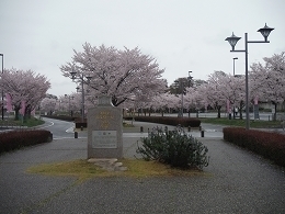 DSCF0005.jpg