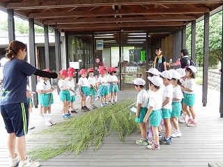 DSCN2080.jpg