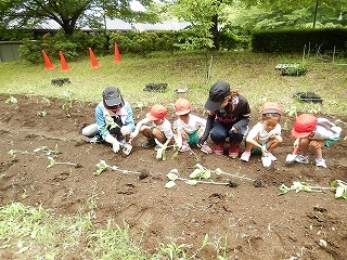 DSCN2106.jpg