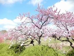 DSCN6165.jpg