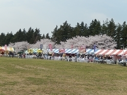 DSCN6204.jpg