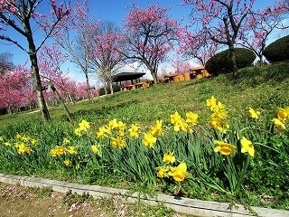 XCZ@x`@.jpg