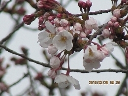 IMG_0911.jpg
