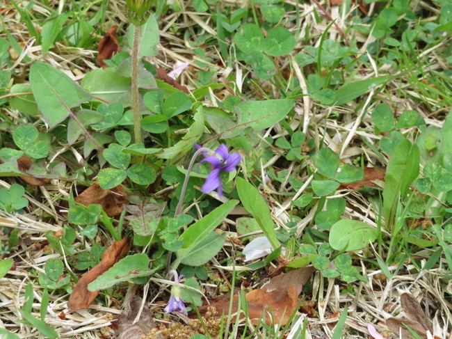 IMG_6083.jpg