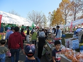 IMG_6197.jpg