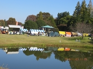 IMG_6240.jpg