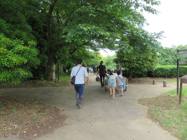 IMG_7182.JPG