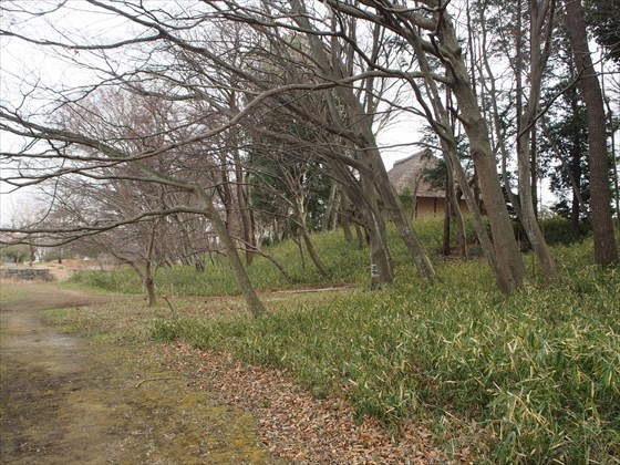 P1160012_R.JPG