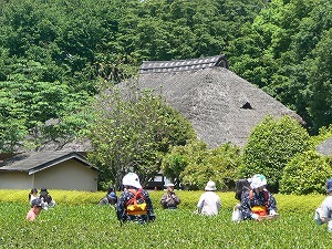P1180468.jpg
