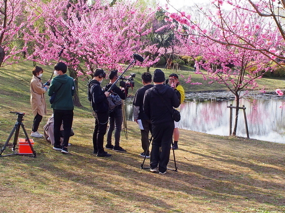 古河公方公園 古河総合公園 こうえんブログ お知らせ