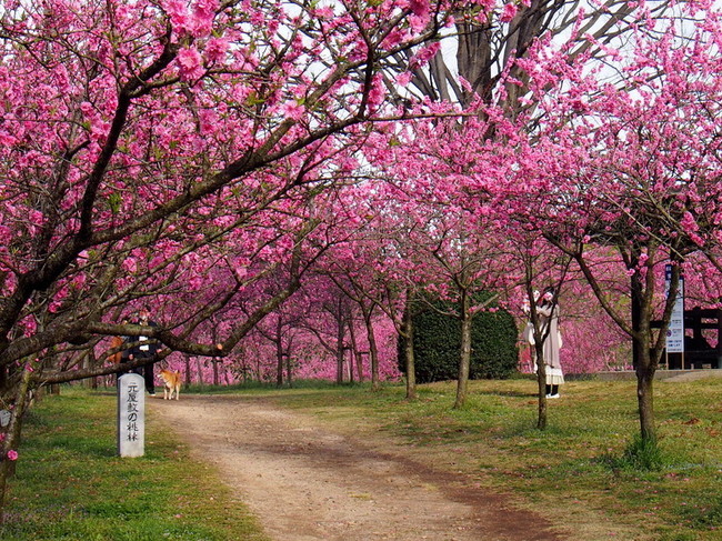 P3272589.jpg