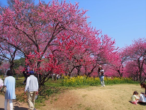 P3280001_R.JPG