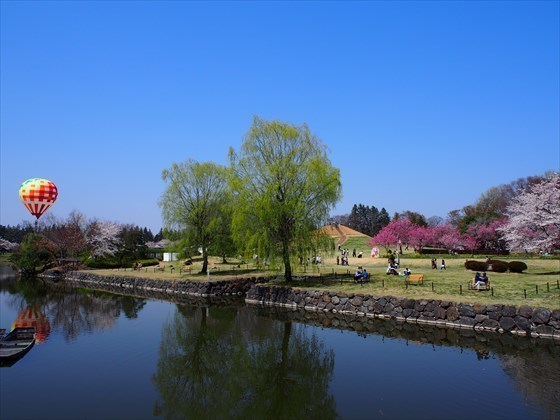 P3280015_R.JPG