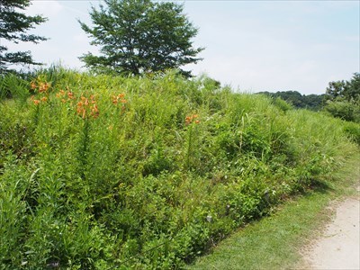 P7220008_R.JPG