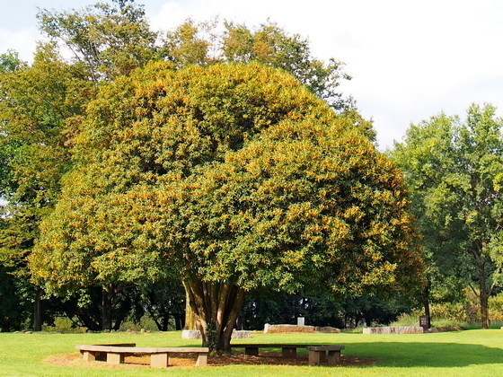 P9152012.JPG