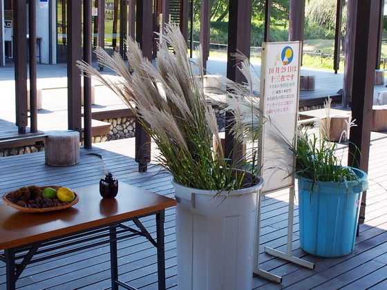 PA290990.JPG