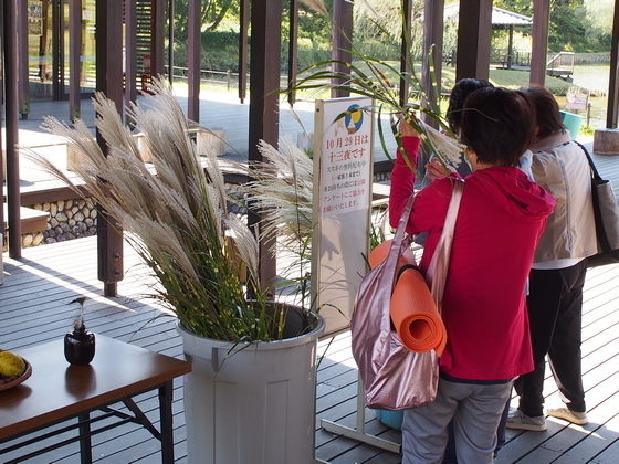 PA290991.JPG