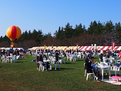 PB050058_R.jpg