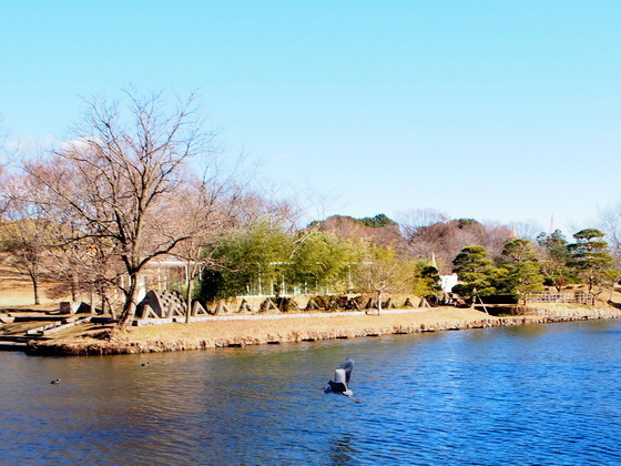 PC280081_R.JPG