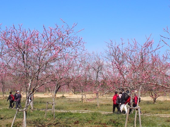 _RP3190014.JPG