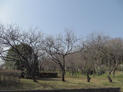 s-IMG_1240.jpg