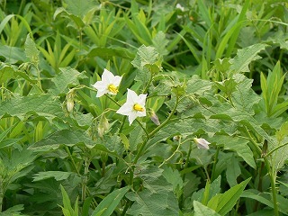 2009_0730_142746AB.jpg